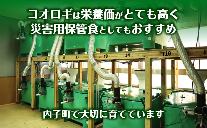 愛媛大学共同企画 イエコオロギパウダー うちこおろぎスープカレー4個セット／国産牛肉 タンパク質 食物繊維 鉄分 亜鉛 保存食 防災 内子町【株式会社ヒューネット風の谷うちこおろぎファーム】 [BKBN002]