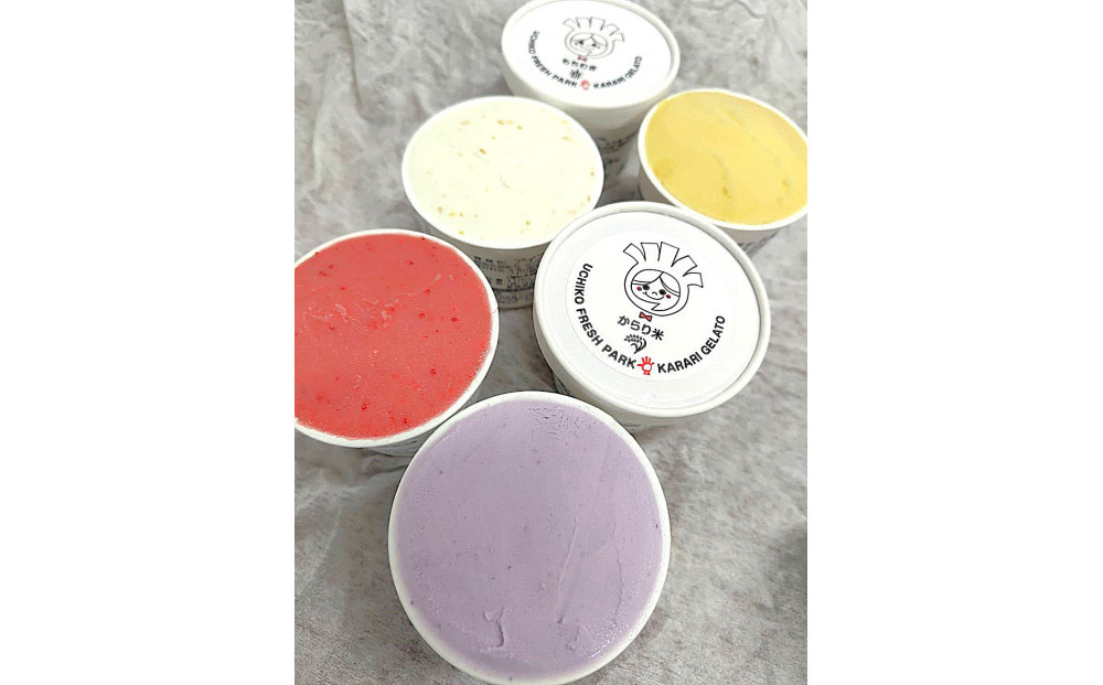 道の駅からり直送！サラダ感覚 ジェラート&ソルベ 12個