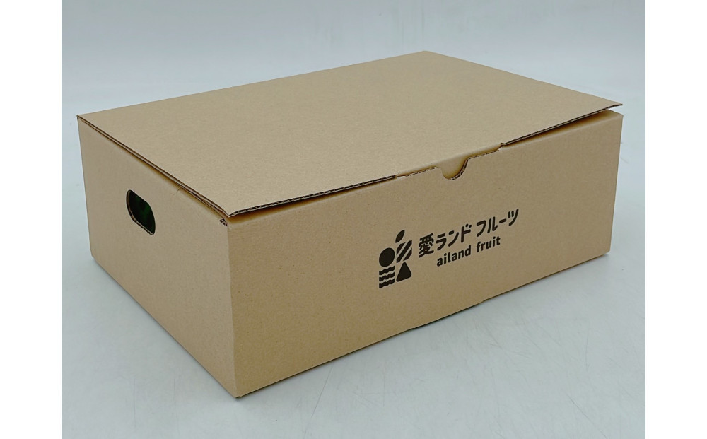 内子町産　幸水梨【5～6玉】★2025年8月上旬から発送★【北海道・沖縄配送不可】
