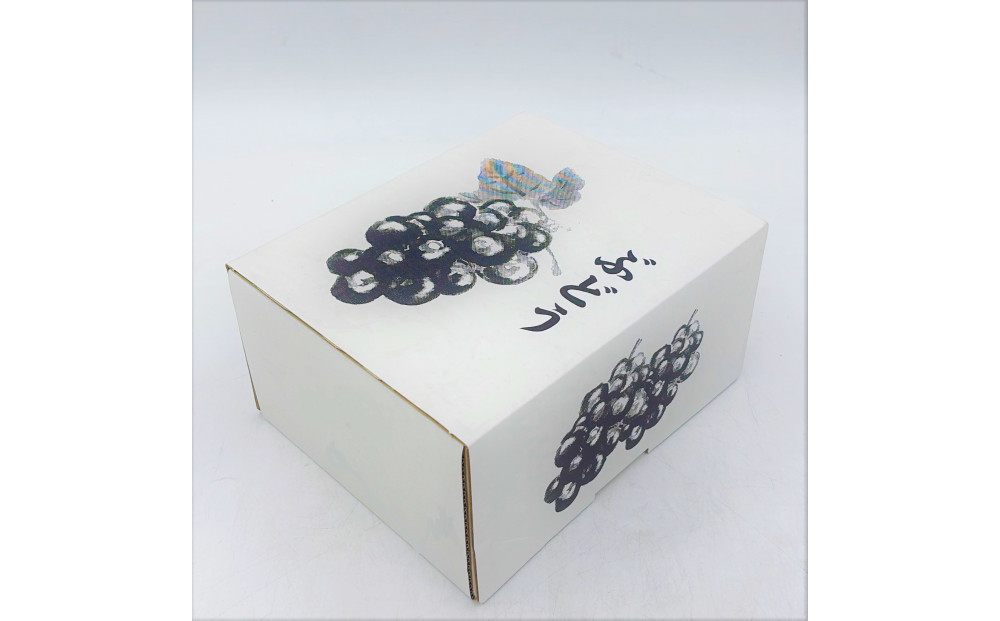 内子町産　シャインマスカット 秀品　2房 1.0kg ＜2026年8月下旬～発送開始＞