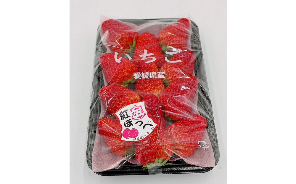 内子町産　いちご「紅ほっぺ」　2パック