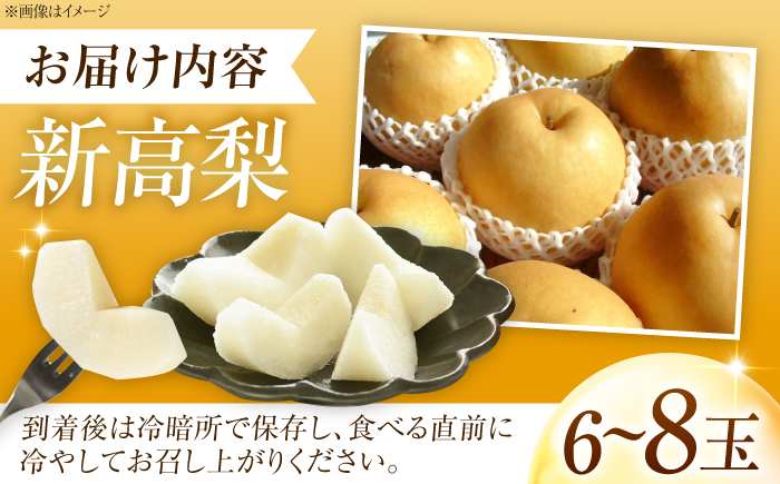 藤渕果樹園の新高梨（にいたかなし） 6～8玉入 〈2026年10月～発送〉 ／ 梨 なし フルーツ 果物 くだもの 食品 人気 おすすめ 季節のフルーツ 新高梨 【株式会社内子フレッシュパークからり】 [BKAD020]