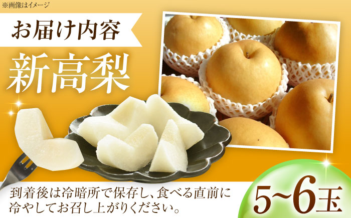 藤渕果樹園の新高梨（にいたかなし） 5～6玉入り 〈2026年10月～発送〉 ／ 梨 なし フルーツ 果物 くだもの 食品 人気 おすすめ 季節のフルーツ 新高梨 【株式会社内子フレッシュパークからり】 [BKAD021]