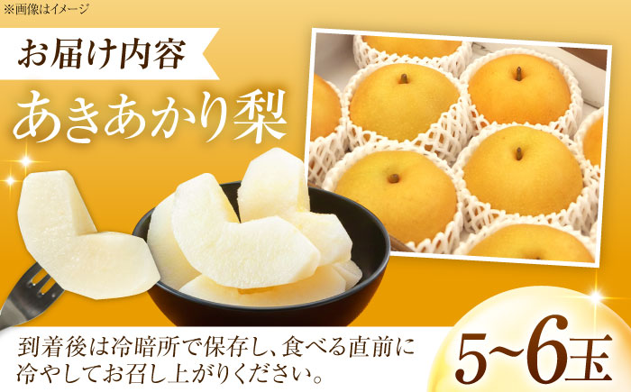 藤渕果樹園のあきあかり梨 5～6玉 〈2026年8月～発送〉 ／ フルーツ 果物 くだもの 食品 人気 おすすめ 梨 なし あきあかり 旬 ギフト 【株式会社内子フレッシュパークからり】 [BKAD022]