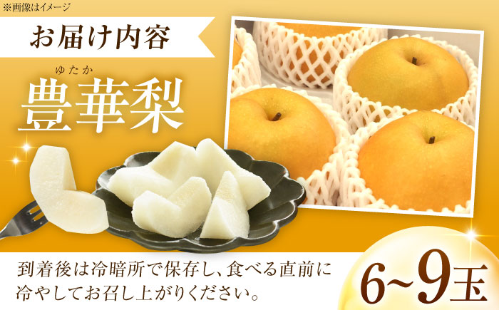 稲田ペアファームの豊華梨 （ゆたかなし） 6～9玉 〈2026年9月～発送〉 ／ フルーツ 果物 くだもの 食品 人気 おすすめ 梨 なし ゆたか 和梨 甘い 旬 ふるさと納税 【株式会社内子フレッシュパークからり】 [BKAD025]