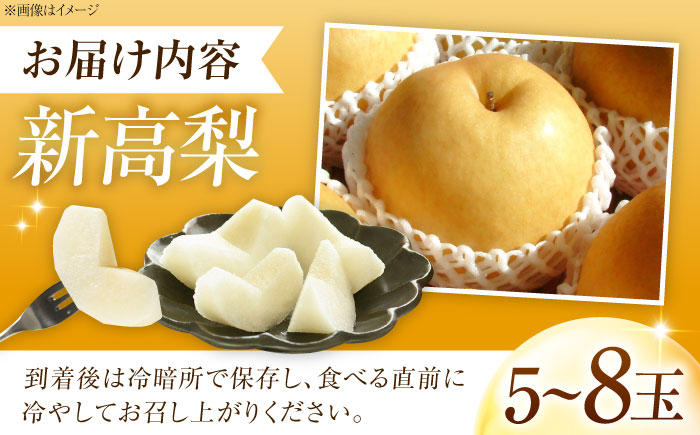 稲田ペアファームの新高梨（にいたかなし） 5～8玉入り 〈2026年9月～発送〉 ／ フルーツ 果物 くだもの 食品 人気 おすすめ 梨 なし 新高梨 にいたかなし 和梨 甘い 高糖度 【株式会社内子フレッシュパークからり】 [BKAD027]