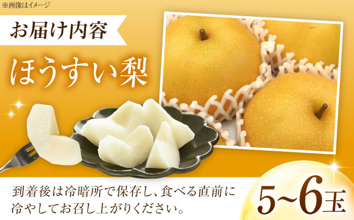 稲田ペアファームの豊水梨（ほうすいなし） 5～6玉入 〈2026年8月～発送〉 ／ 梨 なし フルーツ 果物 くだもの 食品 人気 おすすめ 季節のフルーツ 豊水梨 【株式会社内子フレッシュパークからり】 [BKAD030]