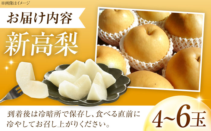 上岡果樹園の新高梨（にいたかなし） 4から6玉入 〈2026年9月から発送〉 ／ 梨 なし フルーツ 果物 くだもの 食品 人気 おすすめ 季節のフルーツ 新高梨 【株式会社内子フレッシュパークからり】 [BKAD032]