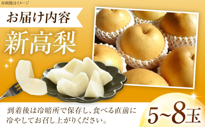 上岡果樹園の新高梨（にいたかなし） 5～8玉入 〈2026年9月～発送〉 ／ 梨 なし フルーツ 果物 くだもの 食品 人気 おすすめ 季節のフルーツ 新高梨 【株式会社内子フレッシュパークからり】 [BKAD033]