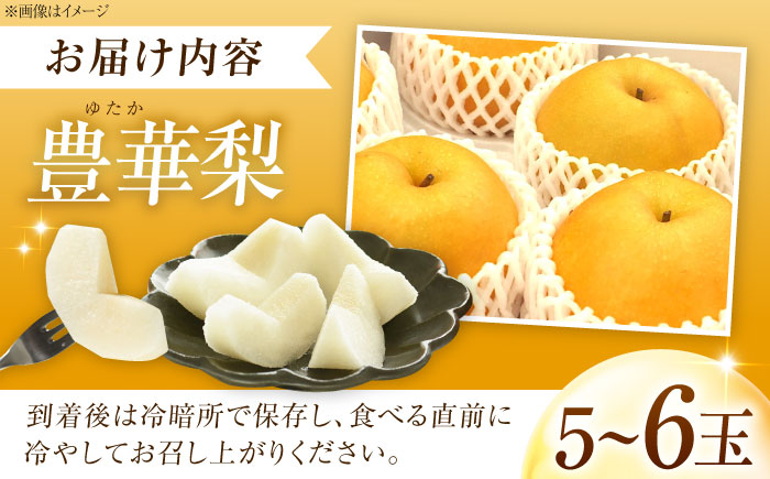 尾形農園の豊華梨(ゆたかなし) 5～6玉入 〈2026年9月～発送〉 ／ 梨 なし フルーツ 果物 くだもの 食品 人気 おすすめ 季節のフルーツ 豊華梨 【株式会社内子フレッシュパークからり】 [BKAD036]