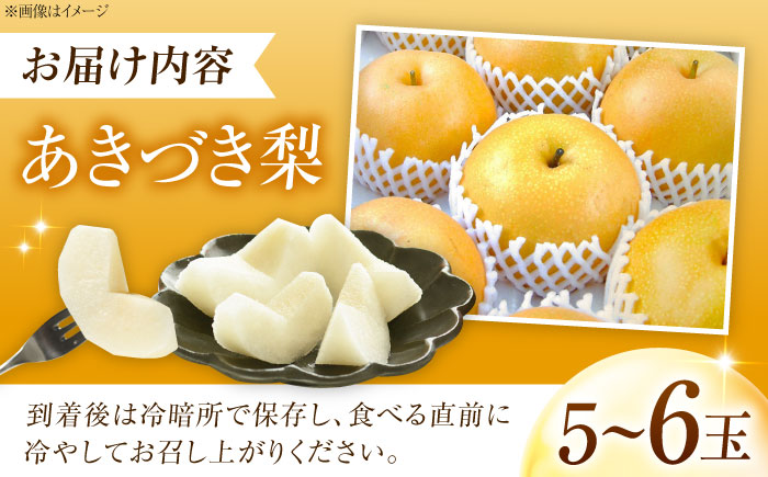 藤渕果樹園のあきづき梨 5～6玉入 〈2026年8月～発送〉 ／ フルーツ 果物 くだもの 食品 人気 おすすめ 送料無料 梨 なし 果実 あきづきなし 【株式会社内子フレッシュパークからり】 [BKAD046]