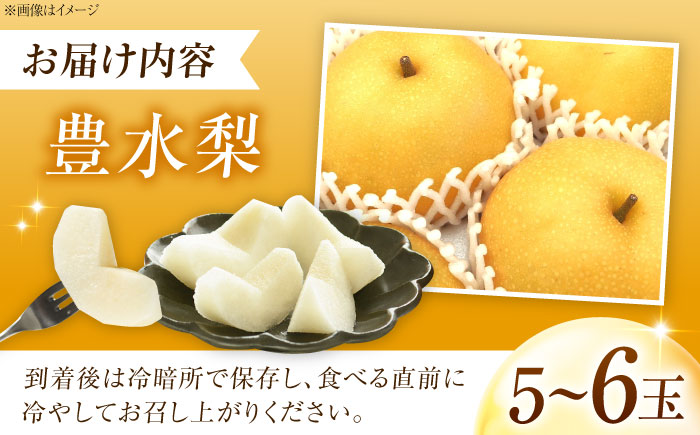 上岡果樹園の豊水梨（ほうすいなし） 5～6玉入 〈2026年8月～発送〉 ／ フルーツ 果物 くだもの 食品 人気 おすすめ 送料無料 梨 なし 豊水梨 ほうすいなし 【株式会社内子フレッシュパークからり】 [BKAD048]