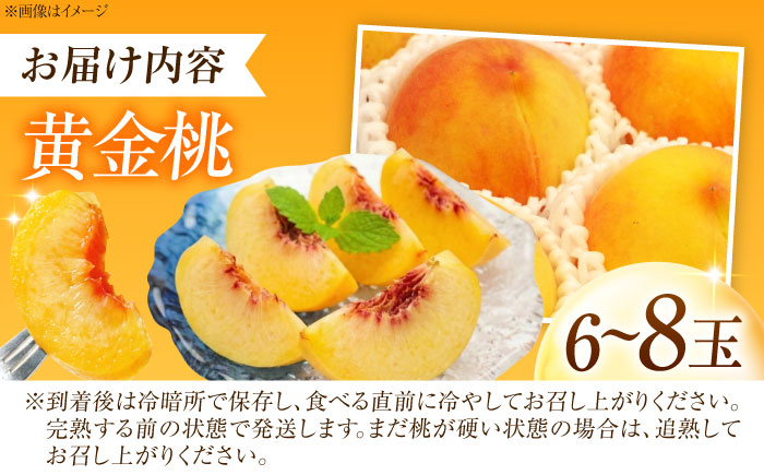 【先行予約】 藤渕果樹園の黄金桃（おうごんとう）6～8玉入り 〈2026年8月～発送〉 ／ 桃 もも 黄桃 フルーツ 果物 くだもの 季節のフルーツ 【株式会社内子フレッシュパークからり】 [BKAD079]
