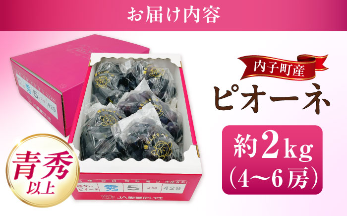 ピオーネ 青秀以上 4～6房 2kg ＜2025年8月下旬から発送＞【北海道・沖縄配送不可】 ／ ブドウ 美味しい ぶどう ピオーネ 大人気 葡萄 愛媛県 葡萄 新鮮 旬 フルーツ 果物 食品 葡萄 新鮮【株式会社フジ・アグリフーズ】 [BKAY010]
