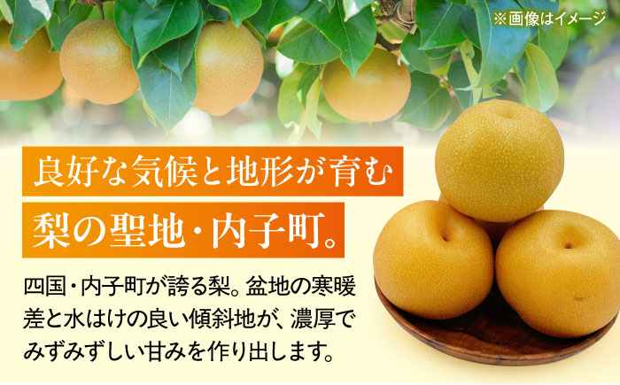豊水梨【10～16玉】＜2026年8月下旬から発送＞【北海道・沖縄配送不可】 ／ 梨 なし ナシ 和梨 果物 フルーツ 国産 産地直送【株式会社フジ・アグリフーズ】 [BKAY023]