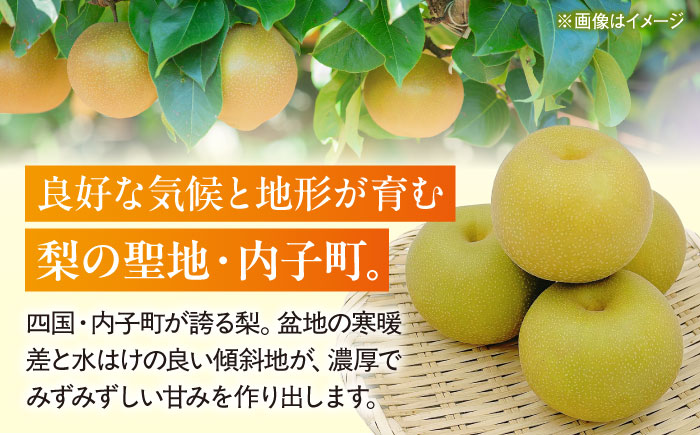 幸水梨【12～16玉】＜2026年8月上旬から発送＞【北海道・沖縄配送不可】 ／ 梨 なし ナシ 和梨 果物 フルーツ 国産 産地直送【株式会社フジ・アグリフーズ】 [BKAY032]
