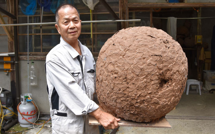 女王蜂の蜂蜜漬け（150g×2本）／はちみつ ハチミツ ハニー ジャム 内子町【ミカタスイッチ株式会社】 [BKBU001]