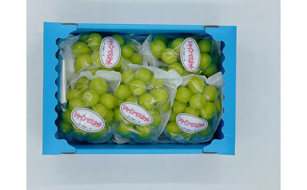 3回定期便　内子町産　梨・ぶどう・柿　旬のフルーツ定期便【北海道・沖縄配送不可】