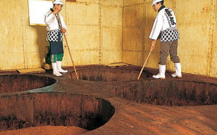 創業明治26年 老舗「内子・森文」おふくみそ（麦みそ）6個セット（1kg×6袋） ／ 食品 加工食品 人気 おすすめ 送料無料 みそ 味噌 ミソ 麦味噌 おふくみそ 【森文醸造株式会社】 [BKAA002]