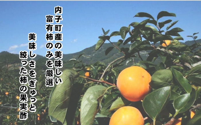 かき酢500ml×1本 （内子町産富有柿使用 醸造酢）／　果実酢 柿 カキ 酢 果物 お酢 フルーツ くだもの酢 【株式会社内子フレッシュパークからり】 [BKAD004]