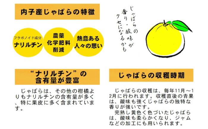 内子からりじゃばらサイダー 250ml×6本／果物 ジュース くだもの じゃばら 炭酸 飲料 ナリルチン 内子町 【株式会社内子フレッシュパークからり】 [BKAD019]