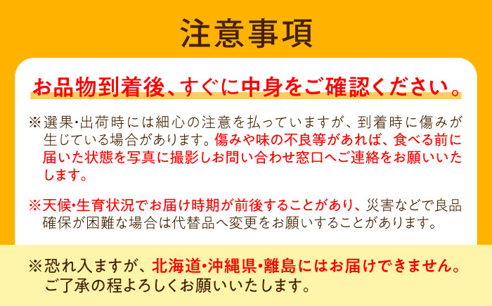 稲田ペアファームの新高梨 （にいたかなし） 4～6玉 〈2026年9月～発送〉 ／ フルーツ 果物 くだもの 食品 人気 おすすめ 梨 なし 新高梨 にいたかなし 和梨 甘い 高糖度 【株式会社内子フレッシュパークからり】 [BKAD026]
