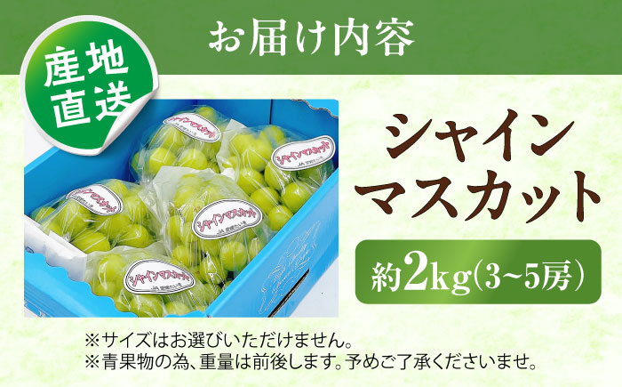 シャインマスカット 秀品 3～5房 約2kg ＜2026年8月下旬～発送開始＞ ／ シャインマスカット 大人気 愛媛県 美味しい 人気 皮ごと 葡萄 ブドウ 愛媛県産 内子町産 新鮮 旬 フルーツ 果物 くだもの【株式会社フジ・アグリフーズ】 [BKAY005]