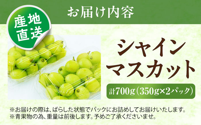 シャインマスカット 350g×2パック パック詰め ＜2026年8月下旬～発送開始＞ ／ シャインマスカット 大人気 愛媛県 美味しい 人気 皮ごと 葡萄 ブドウ 愛媛県産 内子町産 新鮮 旬 フルーツ 果物 くだもの【株式会社フジ・アグリフーズ】 [BKAY006]
