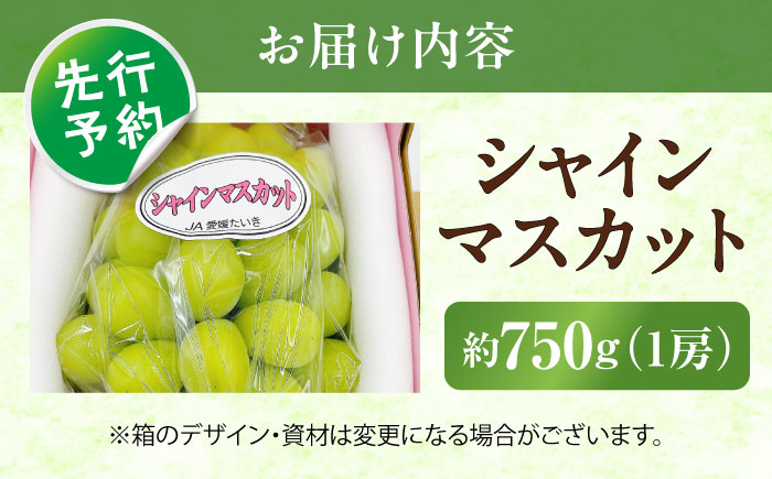 【先行予約】内子町産シャインマスカット 赤秀 1房入 750g以上 ＜2025年8月下旬から発送＞【北海道・沖縄配送不可】 ／ シャインマスカット 大人気 愛媛県 美味しい 人気 皮ごと 葡萄 ブドウ 愛媛県産 内子町産 新鮮 旬 フルーツ 果物 くだもの【株式会社フジ・アグリフーズ】 [BKAY007]
