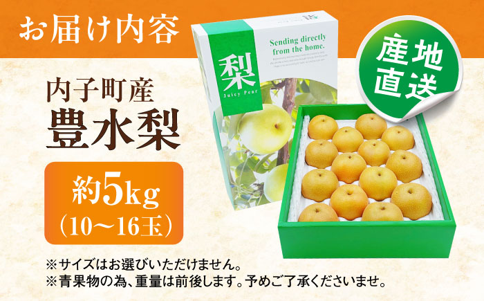 豊水梨【10～16玉】＜2026年8月下旬から発送＞【北海道・沖縄配送不可】 ／ 梨 なし ナシ 和梨 果物 フルーツ 国産 産地直送【株式会社フジ・アグリフーズ】 [BKAY023]