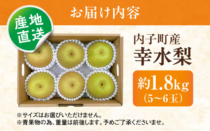 幸水梨【5～6玉】＜2026年8月上旬から発送＞【北海道・沖縄配送不可】 ／ 梨 なし ナシ 和梨 果物 フルーツ 国産 産地直送【株式会社フジ・アグリフーズ】 [BKAY027]