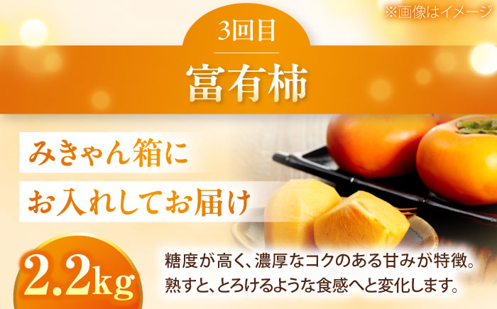 【3回定期便】梨・ぶどう・柿 旬のフルーツ定期便【北海道・沖縄配送不可】 ／かき カキ ブドウ 葡萄 梨 なし ナシ 和梨 果物 フルーツ 国産 産地直送【株式会社フジ・アグリフーズ】 [BKAY030]