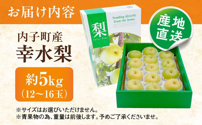 幸水梨【12～16玉】＜2026年8月上旬から発送＞【北海道・沖縄配送不可】 ／ 梨 なし ナシ 和梨 果物 フルーツ 国産 産地直送【株式会社フジ・アグリフーズ】 [BKAY032]