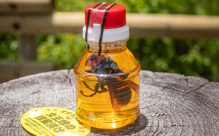 女王蜂の蜂蜜漬け（150g×2本）／はちみつ ハチミツ ハニー ジャム 内子町【ミカタスイッチ株式会社】 [BKBU001]