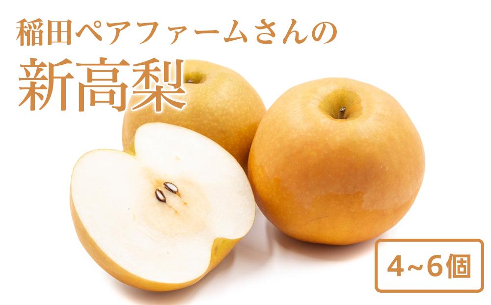 【価格変更・要確認】稲田ペアファームの新高梨（にいたかなし）（1）【4～6玉入り】