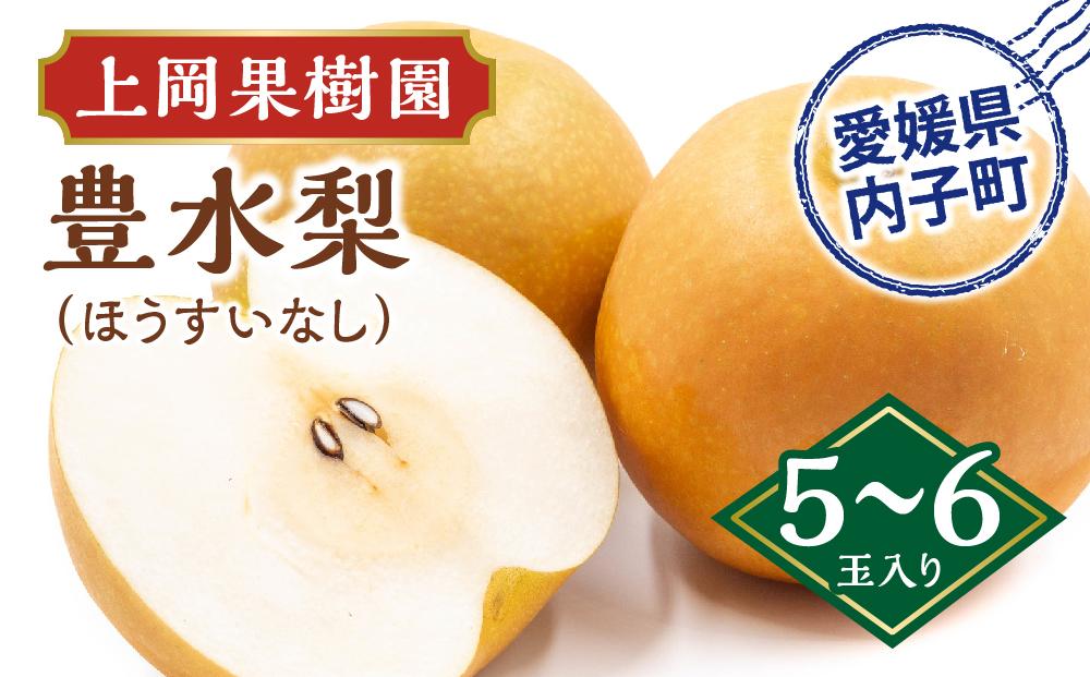 上岡果樹園の豊水梨（ほうすいなし）（1）【5～6玉入り】