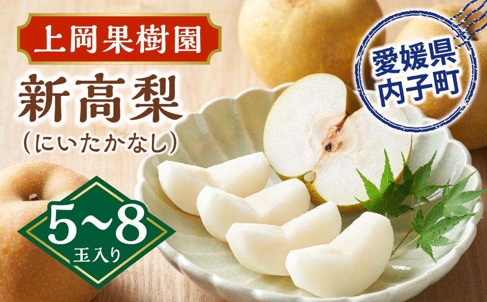 上岡果樹園の新高梨（にいたかなし）（2）【5～8玉入り】