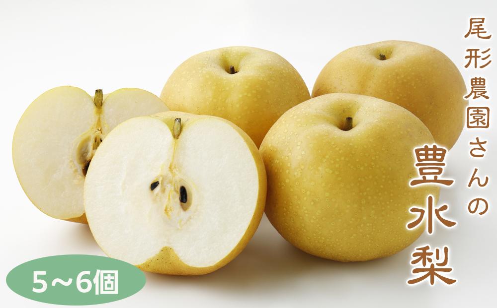 尾形農園の豊水梨（ほうすいなし）（1）【5～6玉入り】