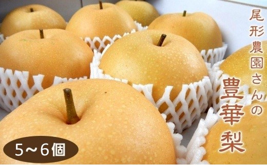 尾形農園の豊華梨(ゆたかなし)（1）【5～6玉入り】