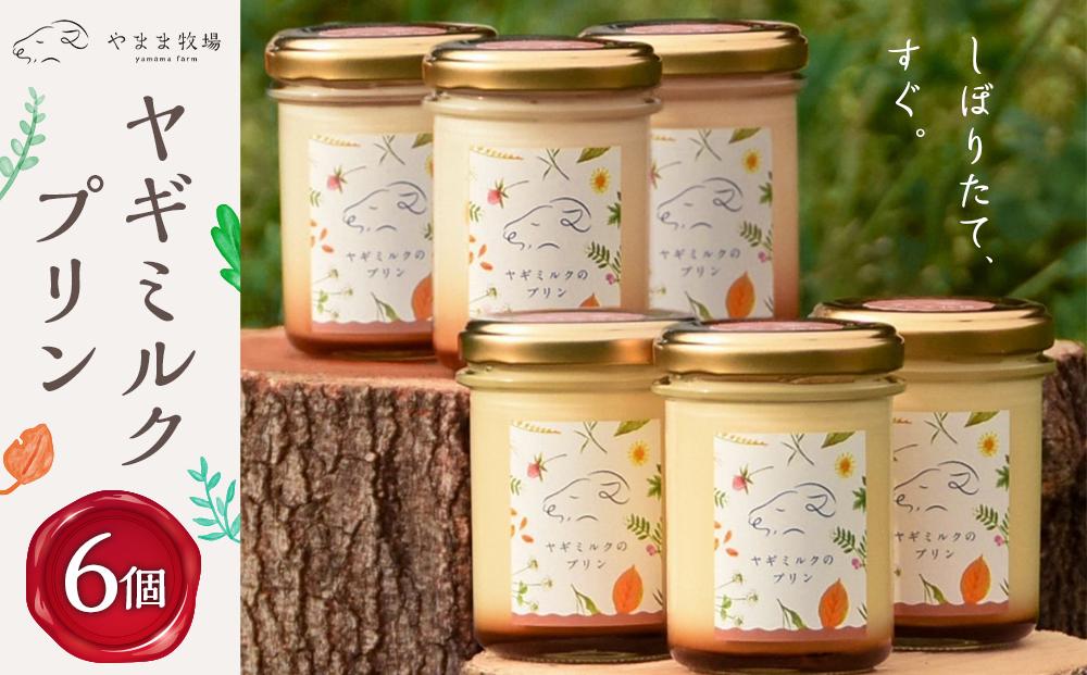【2026年4月～5月発送分 先行予約】ヤギミルクのプリン（6個 ギフト箱入り）