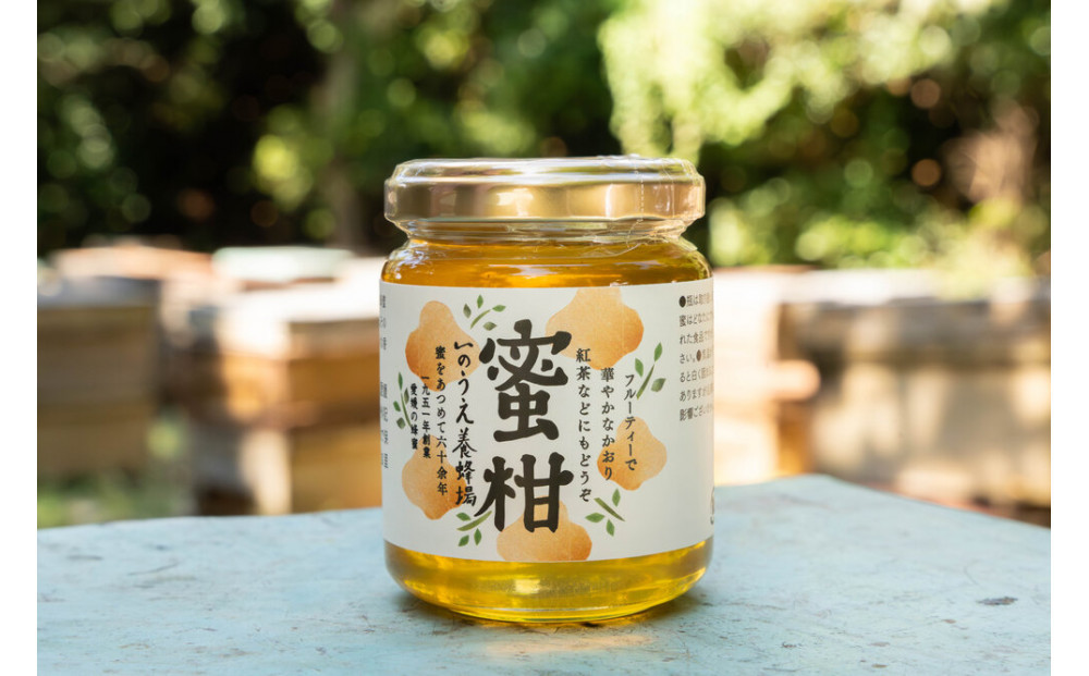 【内子町】蜜柑の雫（しずく）