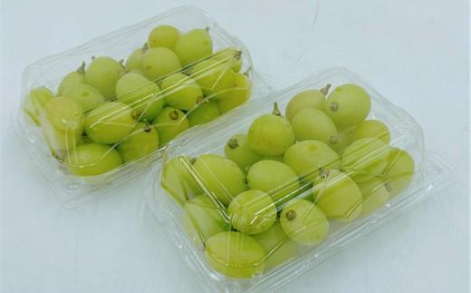 内子町産 シャインマスカット 約700g　パック詰め ＜2026年8月下旬～発送開始＞