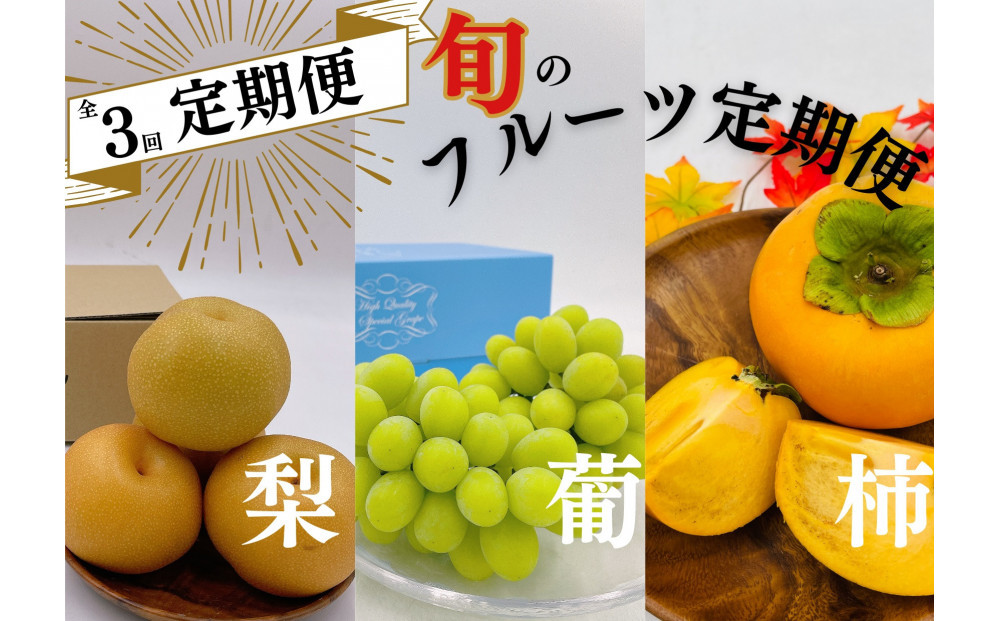 3回定期便　内子町産　梨・ぶどう・柿　旬のフルーツ定期便【北海道・沖縄配送不可】