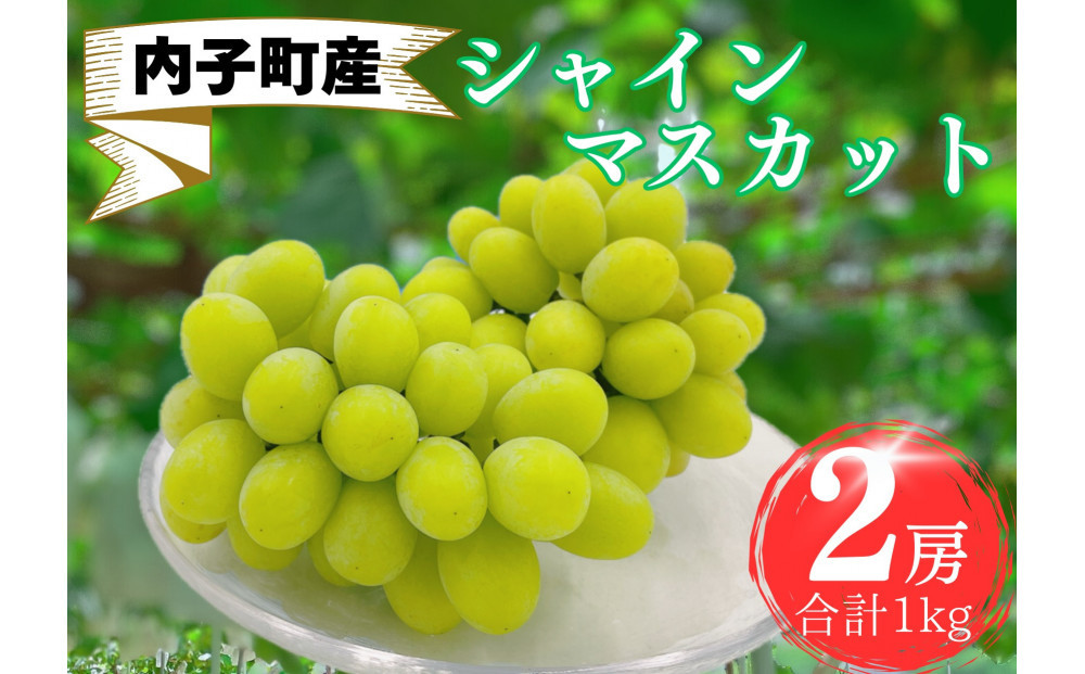 内子町産　シャインマスカット 秀品　2房 1.0kg ＜2026年8月下旬～発送開始＞