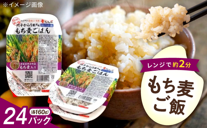 内子からり米使用 もち麦ご飯 24パック 自社栽培内子からり米にこまる・内子町産もち麦使用 ／ 米 もち麦 ごはん 愛媛県産 お米 パックご飯 【株式会社内子フレッシュパークからり】 [BKAD007]