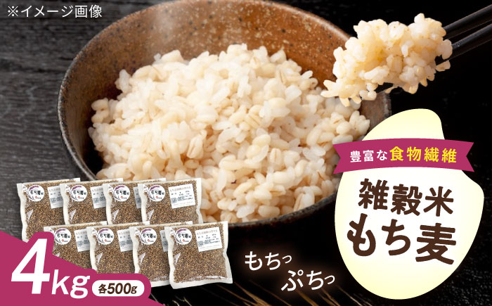 内子町産もち麦4kg ／ 国産 雑穀米 もち麦 ごはん おすすめ 送料無料 米 【株式会社内子フレッシュパークからり】 [BKAD011]