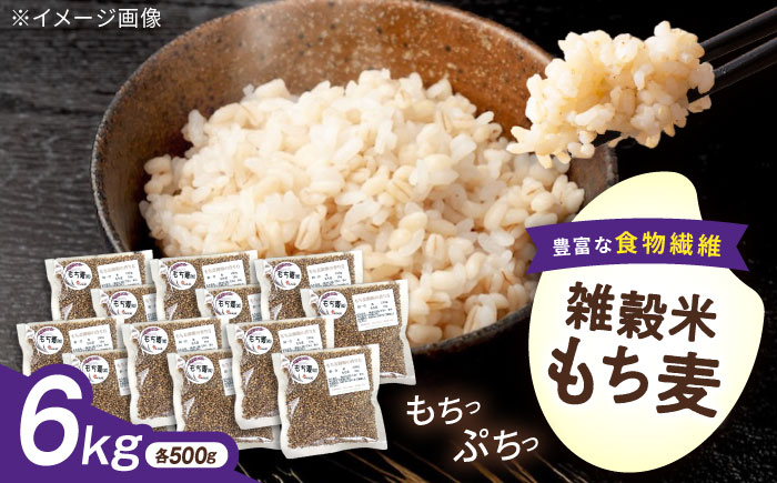 内子町産もち麦6kg ／ 国産 雑穀米 もち麦 ごはん おすすめ 送料無料 米 【株式会社内子フレッシュパークからり】 [BKAD013]