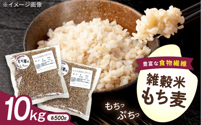 内子町産もち麦10kg ／ 国産 雑穀米 もち麦 ごはん おすすめ 送料無料 米 【株式会社内子フレッシュパークからり】 [BKAD017]