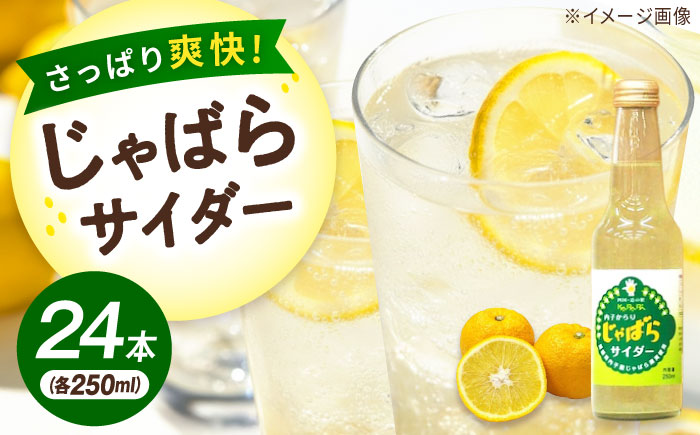 内子からりじゃばらサイダー 250ml×24本／果物 ジュース くだもの じゃばら 炭酸 飲料 ナリルチン 内子町 【株式会社内子フレッシュパークからり】 [BKAD018]