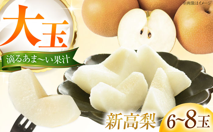 藤渕果樹園の新高梨（にいたかなし） 6～8玉入 〈2026年10月～発送〉 ／ 梨 なし フルーツ 果物 くだもの 食品 人気 おすすめ 季節のフルーツ 新高梨 【株式会社内子フレッシュパークからり】 [BKAD020]